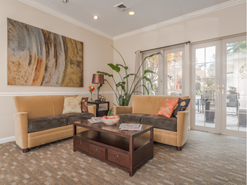 lobby area at Versailles apartments in Towson, MD with couch, love seat, coffee table, wall art and plants